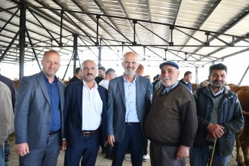 Ladik Canlı Hayvan Pazarı Hizmete Açıldı